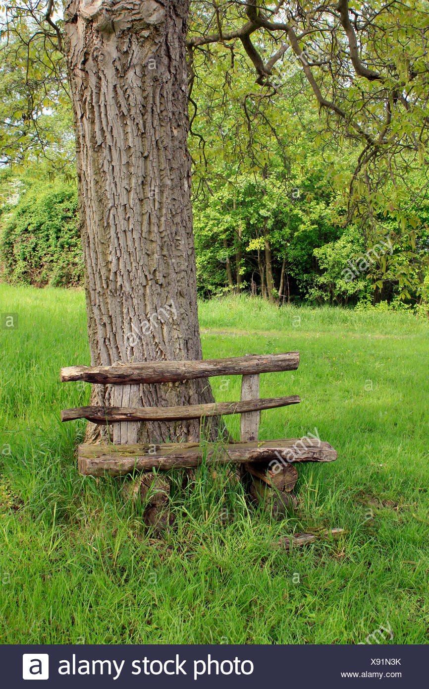 Wooden Carved Bench Stock Photos &amp; Wooden Carved Bench 